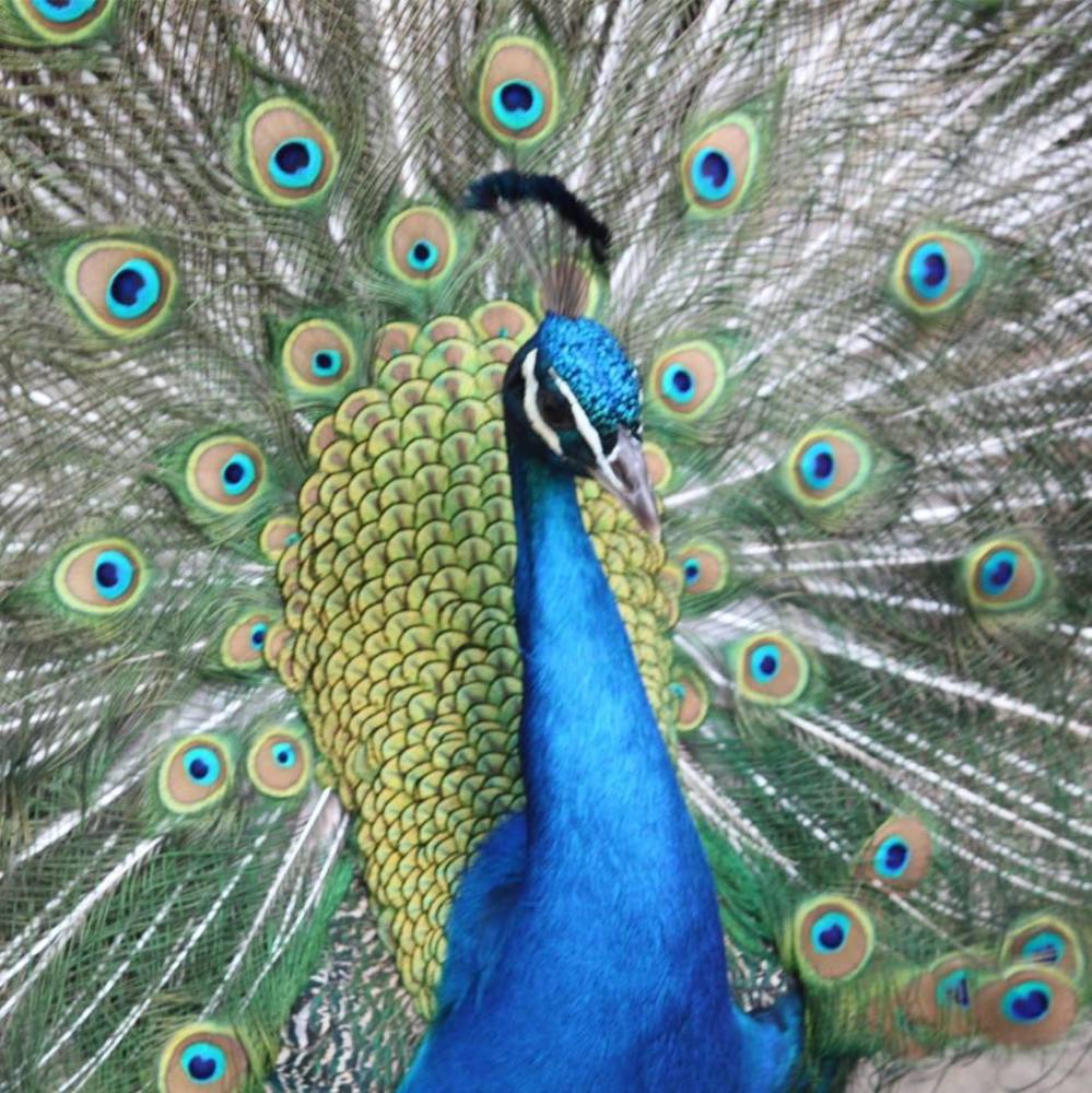 Meet your Posher, Heather